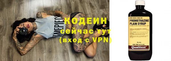 молекула духа Кодинск