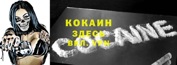 гидра Краснослободск