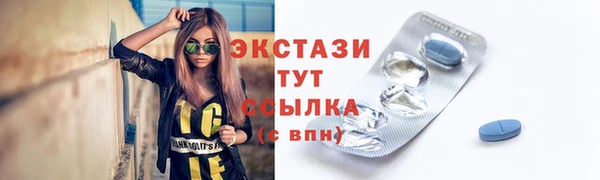 гидра Краснослободск