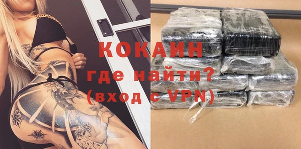 гидра Краснослободск