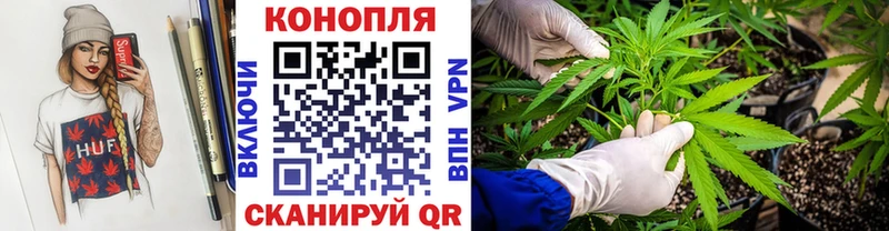 купить  цена  Малмыж  Марихуана OG Kush 